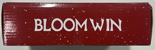 BLOOMWIN Christmas Window Lights 3m x 0.65m LED String Light Curtain Fairy Light with 8 Modes Xmas Decoration for Indoor Party Wedding Bedroom(Cool White) - Gift Guide