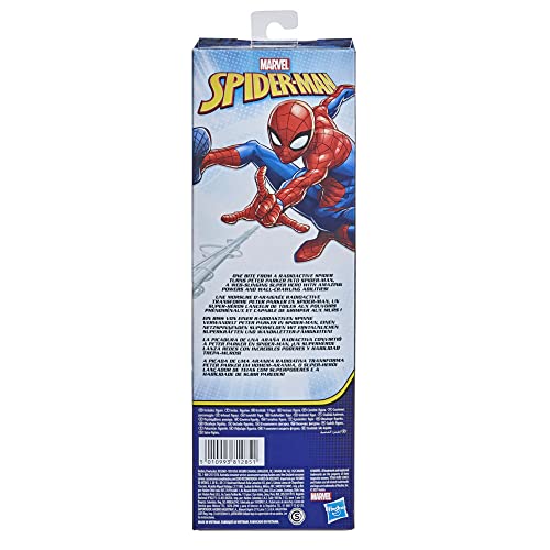 Marvel Titan Hero Series Spider-Man Articulated Action Figure, Blue