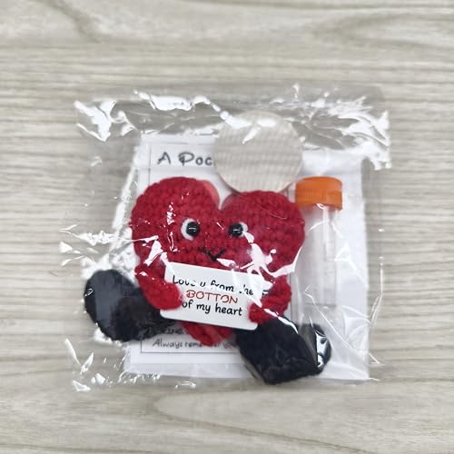 Pipihome Pocket Hug Heart, I Love You Heart Doll, Valentines Gifts for Him Her Kids, Everything I Know About Love, Good Luck Gifts for Birthday Wedding Valentine