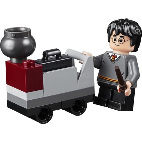 LEGO Harry Potter Journey To Hogwarts Minifigure 30407