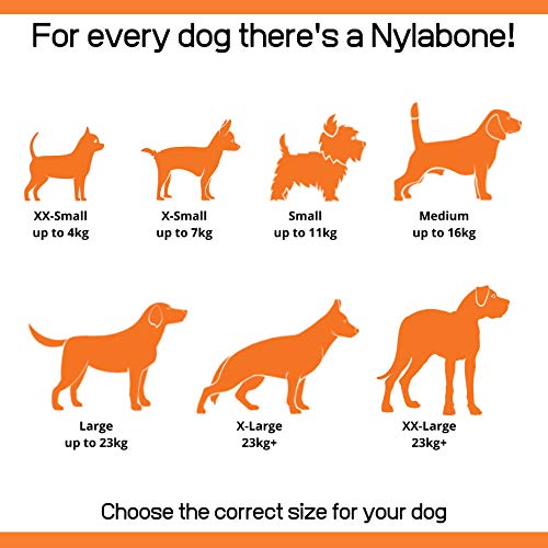 Nylabone Extreme Tough Dog Chew Toy Bones, Peanut Butter, Chicken, Bacon Flavoured, 3-Piece, Small, For Dogs Up To 11 kg - Gift Guide