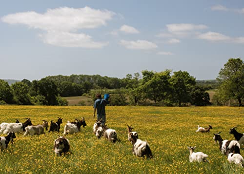 The Farm Table: THE SUNDAY TIMES BESTSELLER