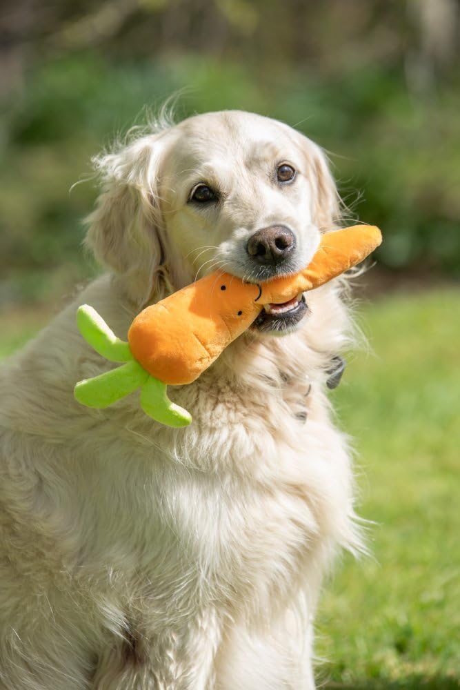 Petface Foodie Faces Fluffy Carrot Dog Toy - Gift Guide