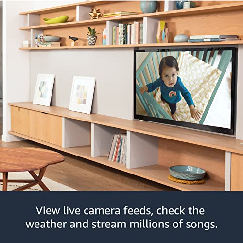 Amazon Fire TV Stick Lite with Alexa Voice Remote Lite, our most affordable HD streaming stick - Gift Guide