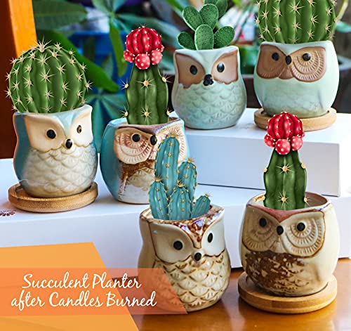 Kinforse 6 Pack Scented Candles Gifts for Women, Birthday Gifts for her, Gifts for Women, owl Gifts for Women, Novelty Gifts for Women, Aromatherapy Candles - Gift Guide