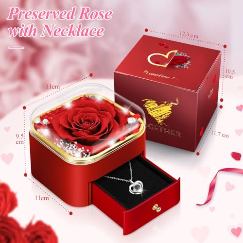 Hnustbo Rose Gifts for Women, Mum, Girlfriend, Wife, Eternal Flowers Preserved Real Rose with I Love You Necklace, for her on Birthday, Anniversary, Valentine's Day, Mother's Day, Christmas