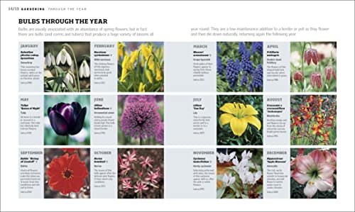 RHS Gardening Through the Year: Month-by-month Planning Instructions and Inspiration