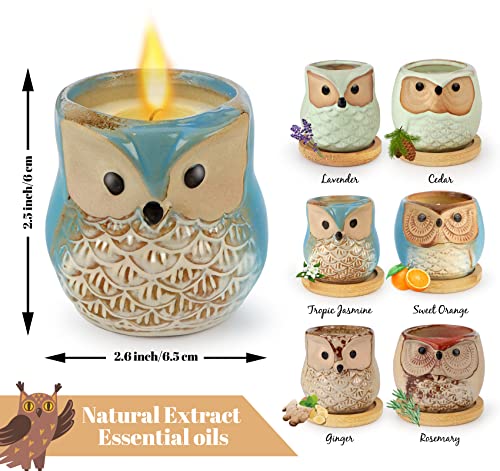 Kinforse 6 Pack Scented Candles Gifts for Women, Birthday Gifts for her, Gifts for Women, owl Gifts for Women, Novelty Gifts for Women, Aromatherapy Candles - Gift Guide