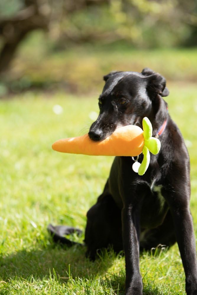 Petface Foodie Faces Fluffy Carrot Dog Toy - Gift Guide
