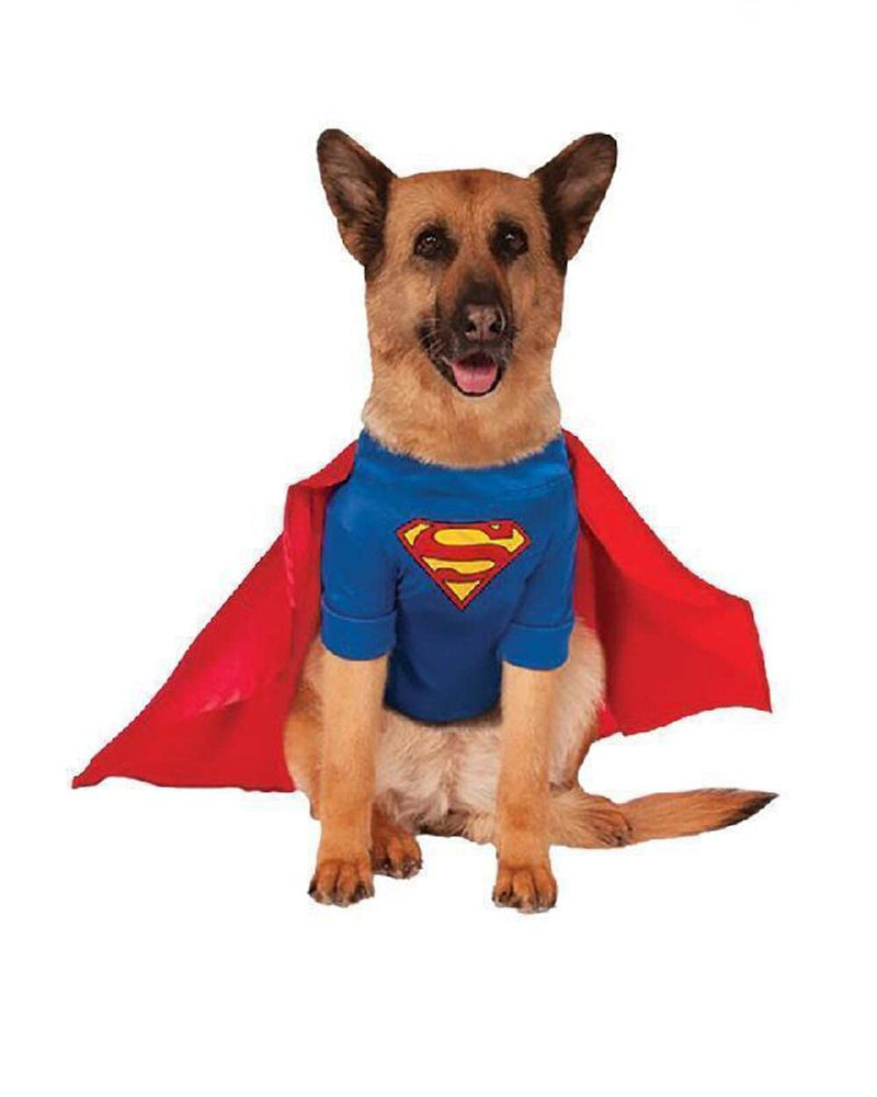 Rubie's unisex adult 580283 Official Rubie s DC Comic Superman Pet Dog Costume Super Hero Gift Big Dog Size XXXL, Multi-colored, XXL UK Halloween Halloween - Gift Guide