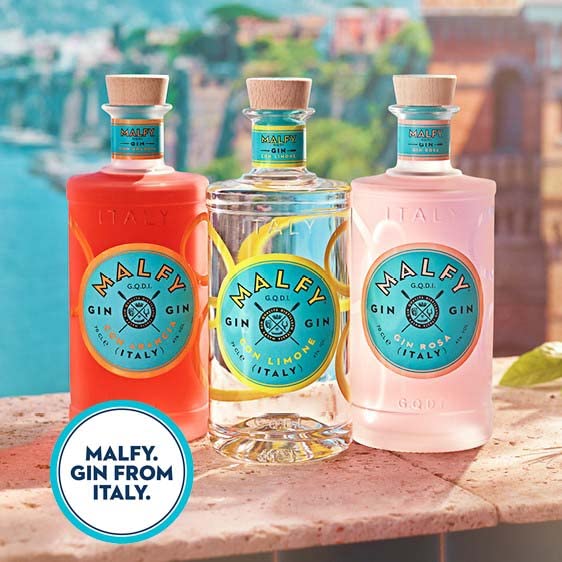 Malfy Italian Gin Miniatures Gift Box Selection | 4 x 5cl | Grapefruit, Lemon, Blood Orange and Original Flavoured Gin Minis | Perfect Gin Gift set | Ideal for Birthday Gifts and Special Occasions