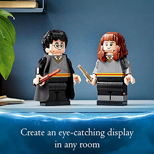 LEGO Harry Potter Harry Potter & Hermione Granger - 76393