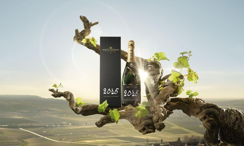 Moët & Chandon Grand Vintage 2015 Champagne, Gift Box, 75cl
