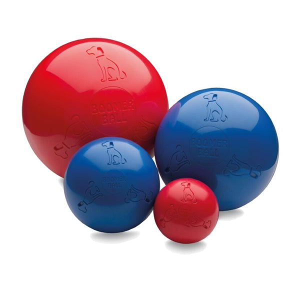 BOOMER BALL 8 Inch, Virtually Indestructible Best Dog Toy, Boredom Busting Football, Tough & Durable Large Dog Ball, Floats On Water, Great Mental Stimulation & High Energy Dogs, Assorted Colours - Gift Guide