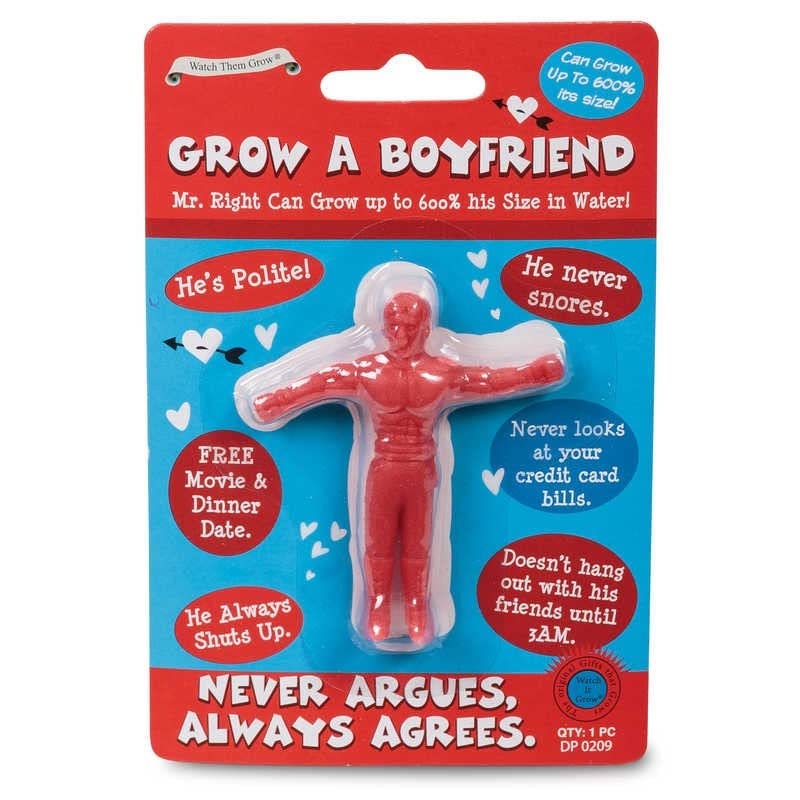 Diabolical Grow a Boyfriend, Funny Stocking Fillers for Her, Valentines Gifts for Her, Cheap Secret Santa Gifts, Funny Valentines Gift - Gift Guide