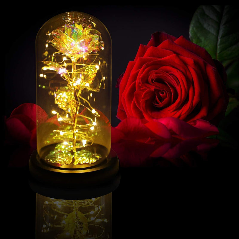 Christmas Rose Gifts for Women,Birthday Gifts for Women,Rose Flower Gifts for Women,Colorful Rainbow Light Up Rose in A Glass Dome,Rose Gifts for Mom Her Christmas,Thanksgiving,Anniversary - Gift Guide