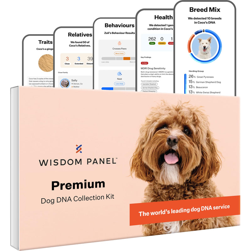 Wisdom Panel Premium: Most Comprehensive Dog DNA Test for 260+ Health Tests | Accurate Breed ID and Ancestry | Traits | Relatives | Behaviours | Vet Consult - Gift Guide