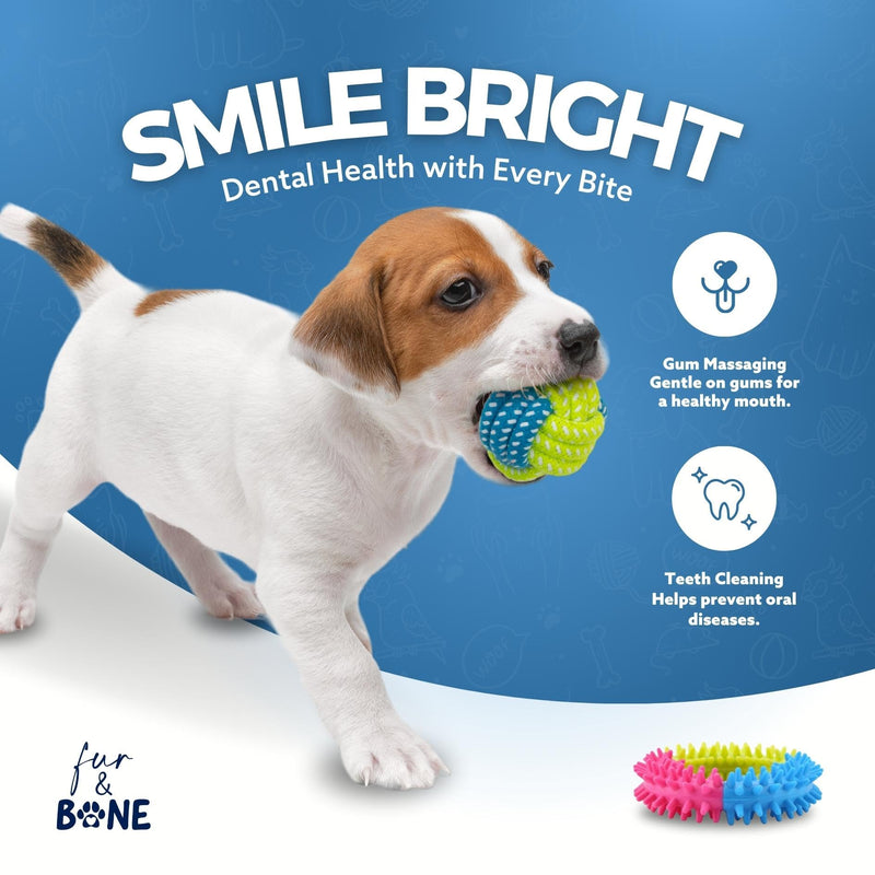Fur & Bone 10 Pack Dog Chew Toys | Puppy Toys Dog Toys for Boredom | Indestructible Dog Toys with Rope Toys, Squeaky Toy | Dog Toy, Dog Teething Toys for Small & Medium Dogs | Dog - Gift Guide
