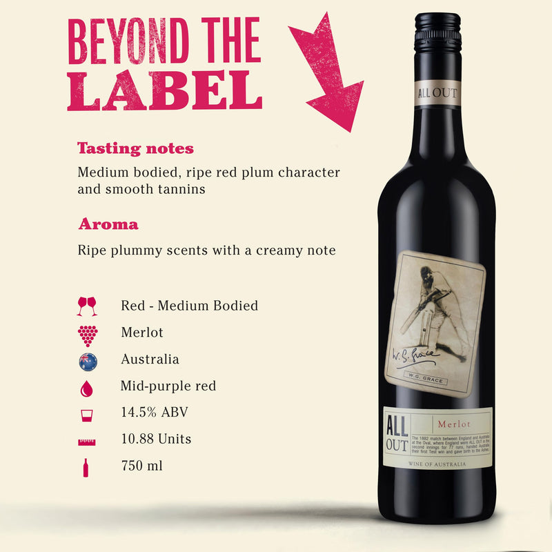 Laithwaites Merlot Mix Red Wine Selection - Case of 6 Mixed Bottles (75cl) - Variety of Chilean, Australian & French Merlot - Chateau Le Coin Bordeaux, Antawara Reserva Merlot & More