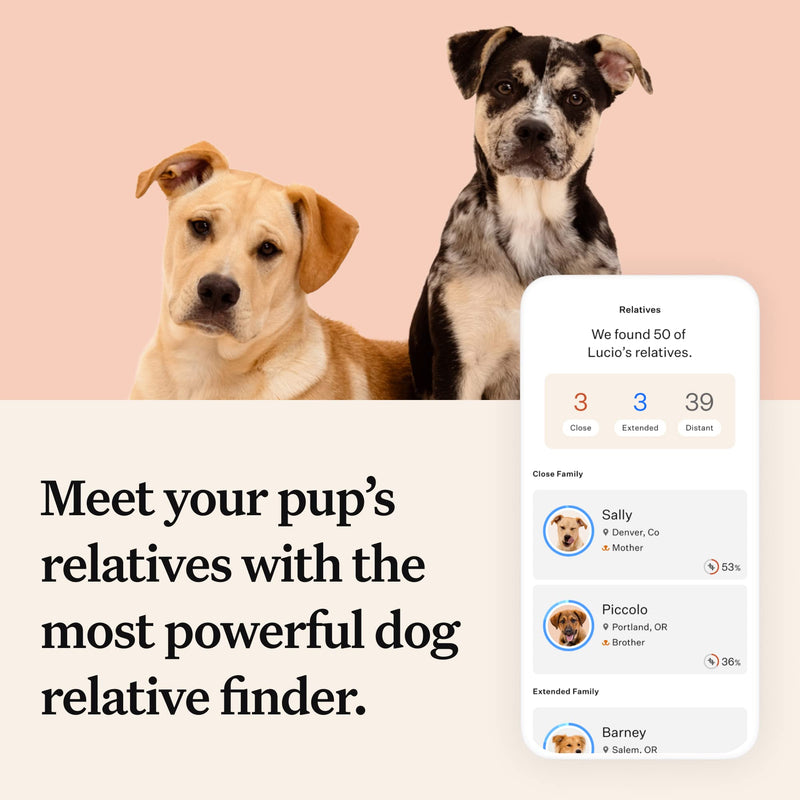 Wisdom Panel Premium: Most Comprehensive Dog DNA Test for 260+ Health Tests | Accurate Breed ID and Ancestry | Traits | Relatives | Behaviours | Vet Consult - Gift Guide