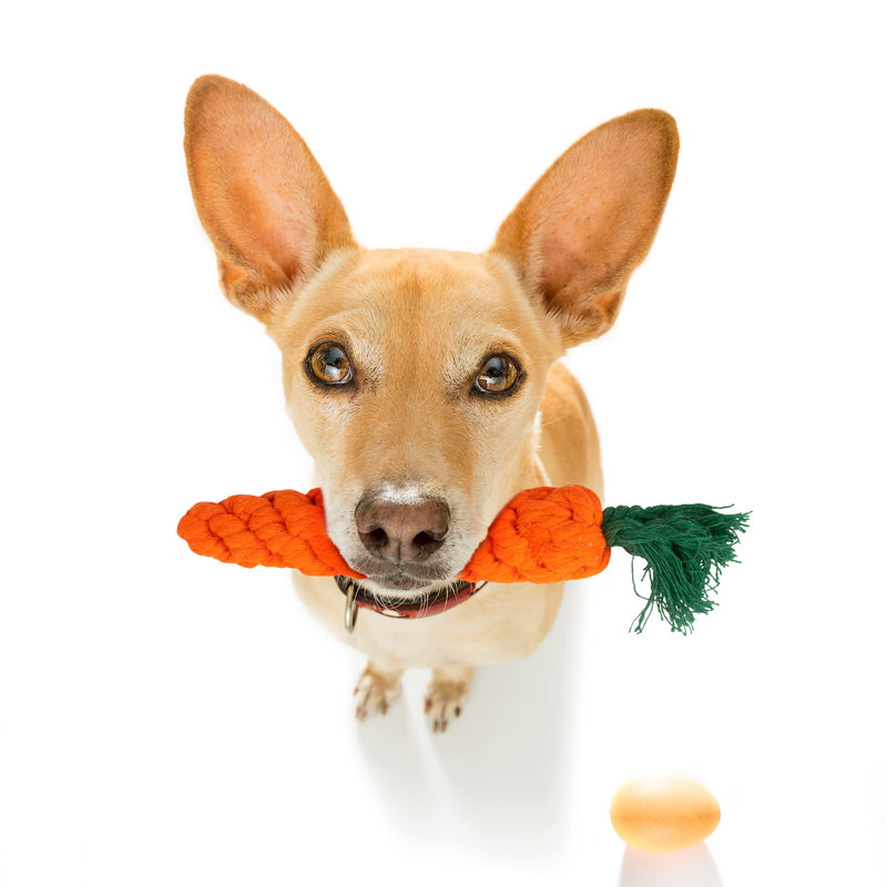 Fur & Bone 10 Pack Dog Chew Toys | Puppy Toys Dog Toys for Boredom | Indestructible Dog Toys with Rope Toys, Squeaky Toy | Dog Toy, Dog Teething Toys for Small & Medium Dogs | Dog - Gift Guide