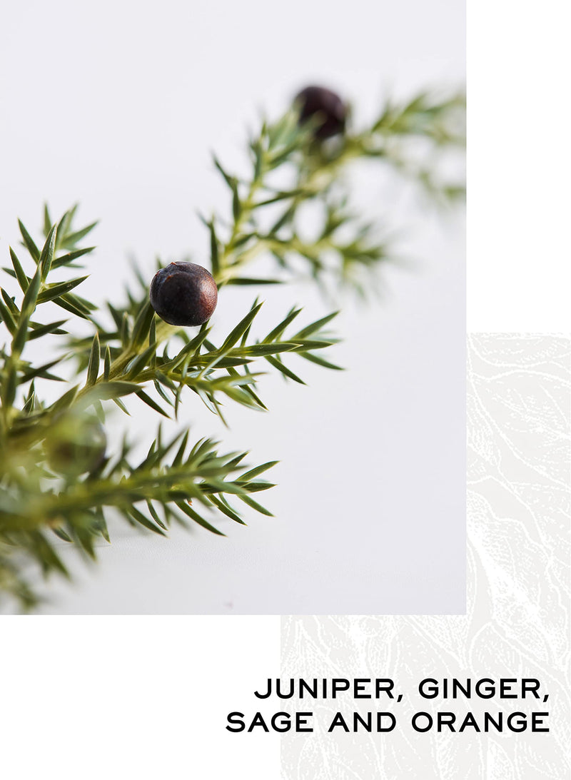 New London Light 'First Light' - Alcohol Free Gin, 70cl | Drink With Tonic | Dry Juniper, Citrus and Ginger Flavours | We support 1% for the oceans