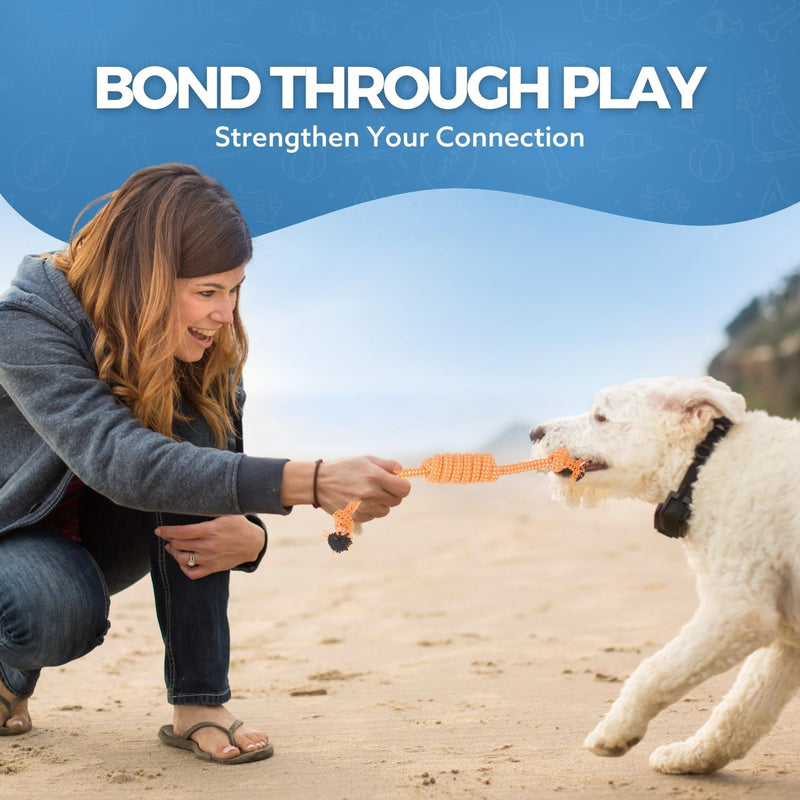 Fur & Bone 10 Pack Dog Chew Toys | Puppy Toys Dog Toys for Boredom | Indestructible Dog Toys with Rope Toys, Squeaky Toy | Dog Toy, Dog Teething Toys for Small & Medium Dogs | Dog - Gift Guide