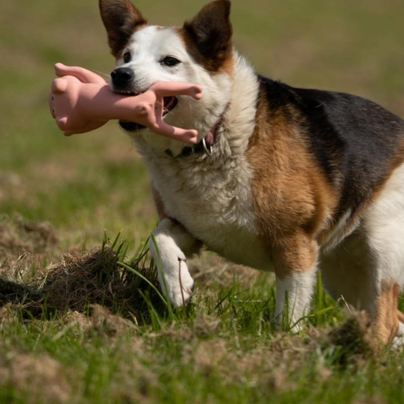 Petface Latex Lounging Pig Soft Chew Dog Toy - Gift Guide