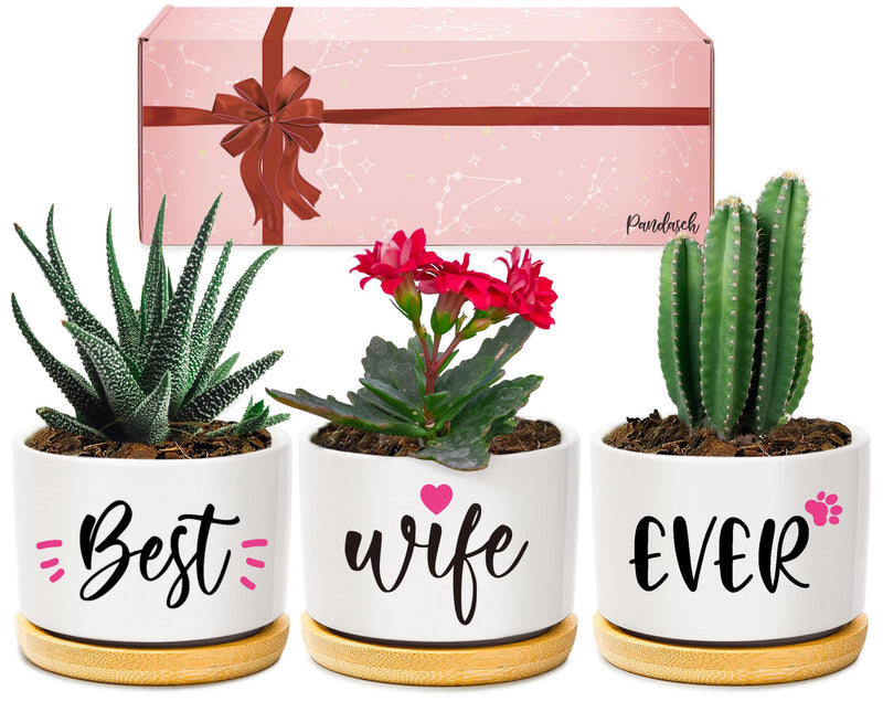 Christmas Birthday Gifts for Wife from Husband, Unique Anniversary Wedding Valentines Day Gifts for Her, Best Wife Ever Succulent Pots for Plants Indoor & Outdoor, Arrive Beautifully Gift Boxed