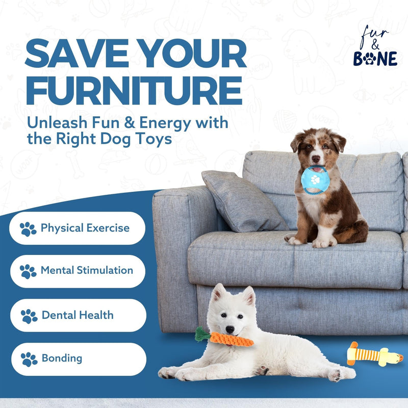 Fur & Bone 10 Pack Dog Chew Toys | Puppy Toys Dog Toys for Boredom | Indestructible Dog Toys with Rope Toys, Squeaky Toy | Dog Toy, Dog Teething Toys for Small & Medium Dogs | Dog - Gift Guide