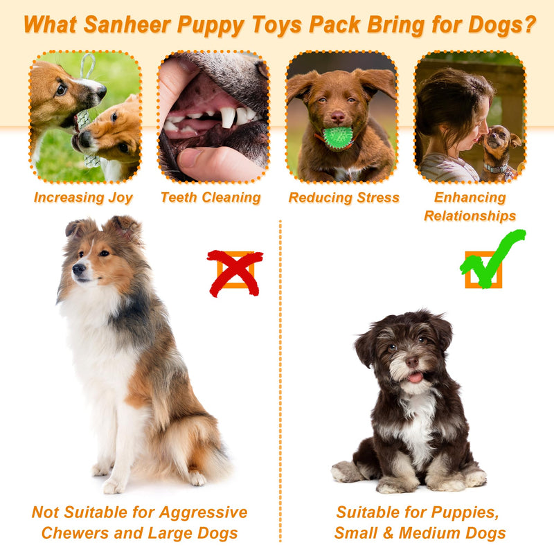 Ousiya 24 PACK Puppy Toys Set, Small Dog Toys Puppy Teething Toys with A Storage Box, Puppy Rope Toy Puppy Chew Toy Dog Toys for Small and Medium Dogs Playing and Training - Gift Guide