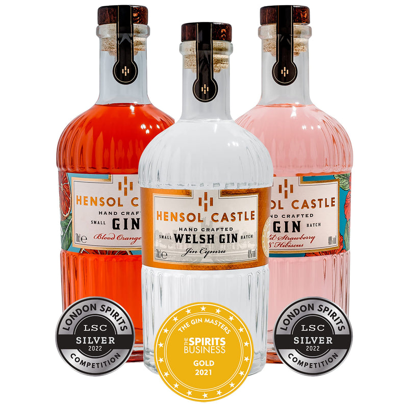 Hensol Castle Distillery Miniature Gin Gift Set | 3 x 5cl Mini Premium Gins, Try our Award Winning Welsh London Dry Gin, Blood Orange Zest Gin and Pink Wild Strawberry & Hibiscus Flavoured Gin Set