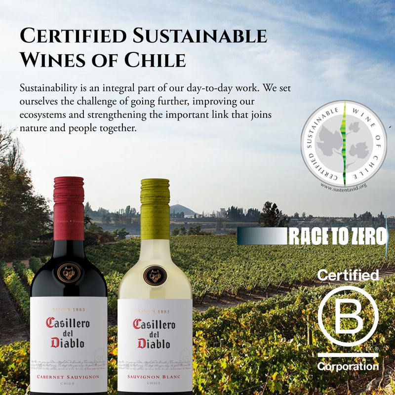 Casillero del Diablo Pinot Grigio White Wine | Chile, Fresh & Crisp (Case of 6 x 75cl)