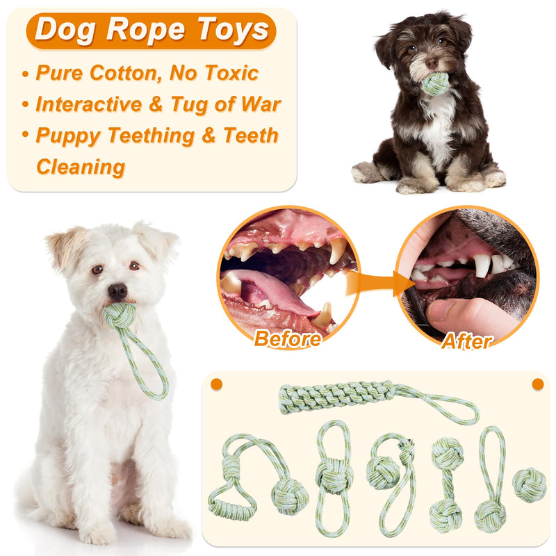 Ousiya 24 PACK Puppy Toys Set, Small Dog Toys Puppy Teething Toys with A Storage Box, Puppy Rope Toy Puppy Chew Toy Dog Toys for Small and Medium Dogs Playing and Training - Gift Guide