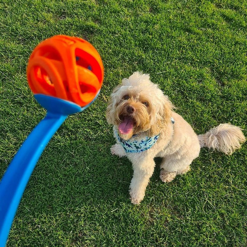 Chuckit! Air Fetch Dog Ball Durable Rubber Dog Toy Launcher Compatible Dog Balls, 2 Pack, Medium - Gift Guide