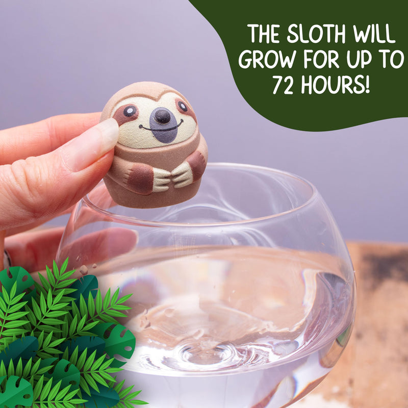 Boxer Gifts Grow a Sloth Toy - Kids Christmas Stocking Fillers - Children's Sloth Gifts - Boys & Girls Birthday Presents - Pass The Parcel Prize - Gift Guide
