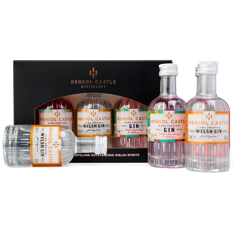 Hensol Castle Distillery Miniature Gin Gift Set | 3 x 5cl Mini Premium Gins, Try our Award Winning Welsh London Dry Gin, Blood Orange Zest Gin and Pink Wild Strawberry & Hibiscus Flavoured Gin Set