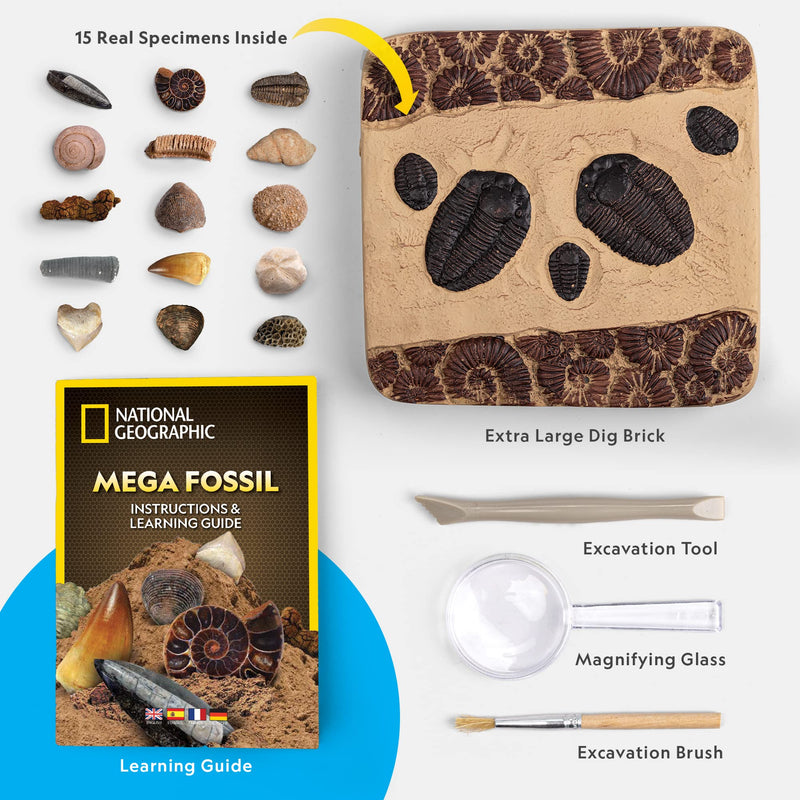 National Geographic Mega Fossil Dig Kit - Excavate 15 Genuine Prehistoric Fossils, Kids Fossil Kit, Educational Toys, Great Science Kit Gift for Girls and Boys (Amazon Exclusive) - Gift Guide