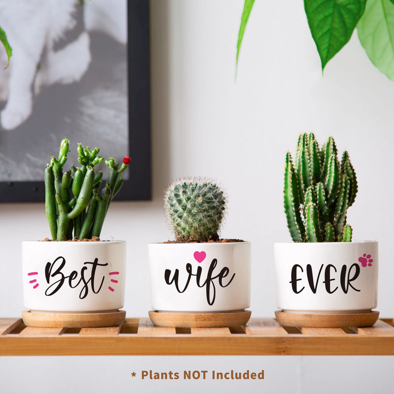 Christmas Birthday Gifts for Wife from Husband, Unique Anniversary Wedding Valentines Day Gifts for Her, Best Wife Ever Succulent Pots for Plants Indoor & Outdoor, Arrive Beautifully Gift Boxed