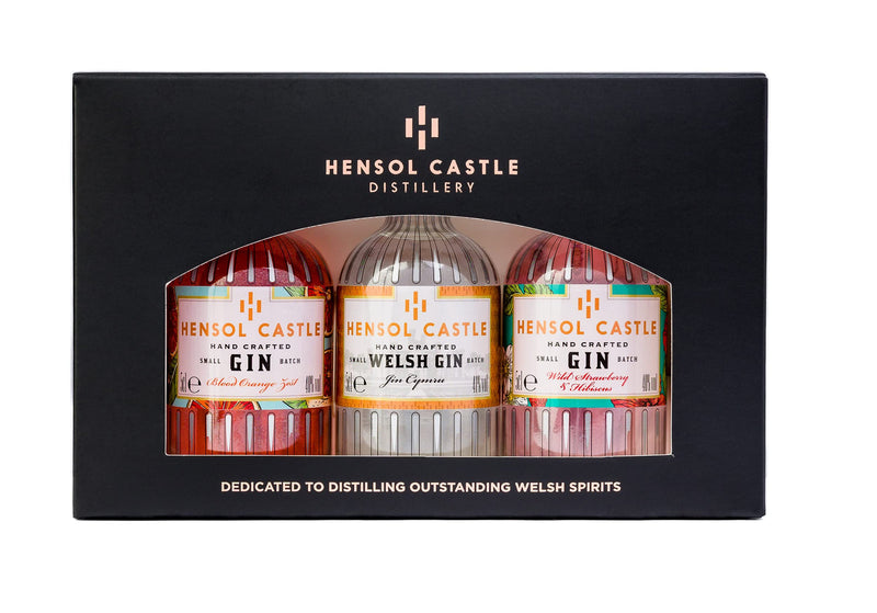 Hensol Castle Distillery Miniature Gin Gift Set | 3 x 5cl Mini Premium Gins, Try our Award Winning Welsh London Dry Gin, Blood Orange Zest Gin and Pink Wild Strawberry & Hibiscus Flavoured Gin Set