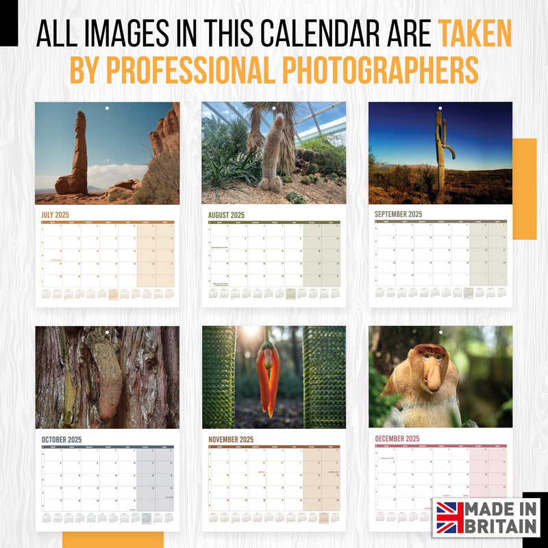 Calendar 2025 Funny Natures D*ck Pics - A3 Month to View features 12 High Resolution Images of Natural Funny Images - Gag, Rude, Great Gift for Birthdays, Secret Santa Christmas Stocking Present - Gift Guide