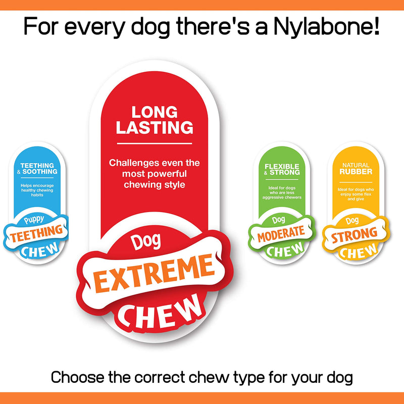 Nylabone Extreme Tough Dog Chew Toy Bones, Peanut Butter, Chicken, Bacon Flavoured, 3-Piece, Small, For Dogs Up To 11 kg - Gift Guide