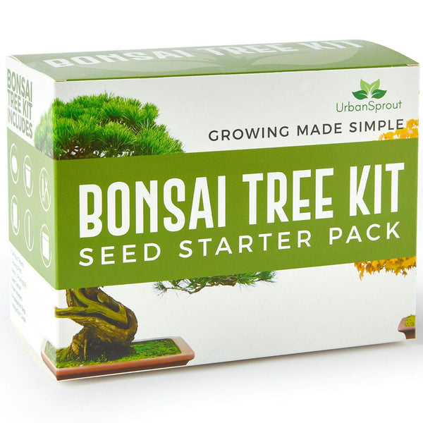 Urban Sprout Bonsai Tree Kit - Grow Your Own Bonsai Trees from Seed - Sustainable Eco Gardening Gift Set with 5 Bonzai Seed Varieties and Bonzie Starter kit Tools - Gift Guide