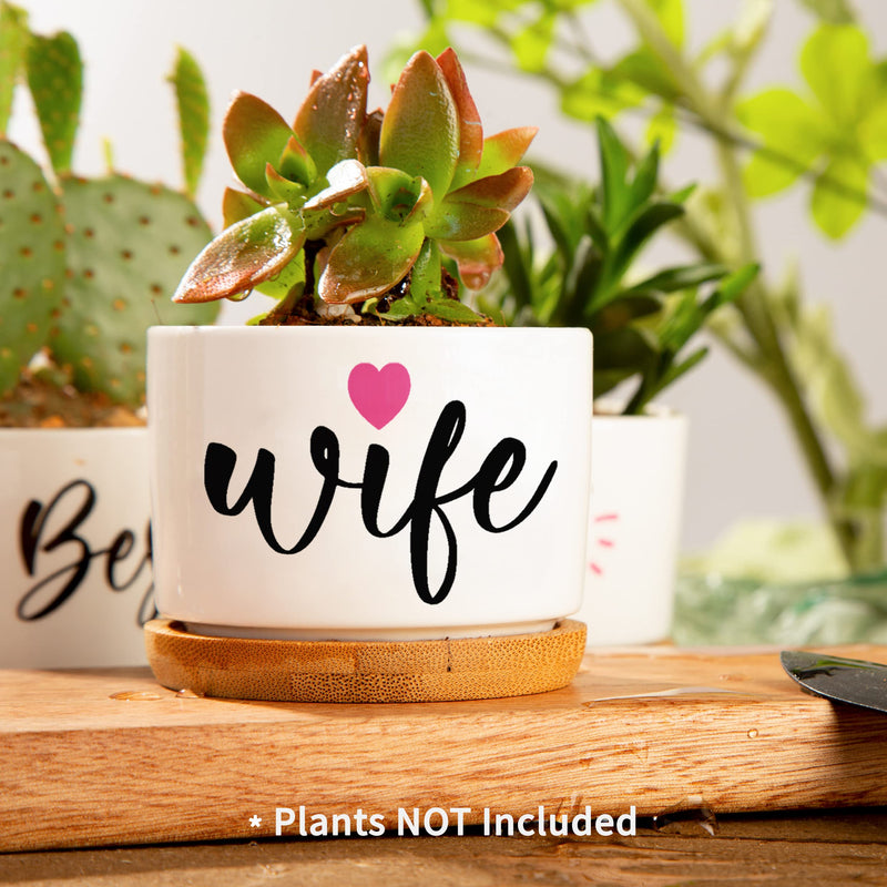 Christmas Birthday Gifts for Wife from Husband, Unique Anniversary Wedding Valentines Day Gifts for Her, Best Wife Ever Succulent Pots for Plants Indoor & Outdoor, Arrive Beautifully Gift Boxed