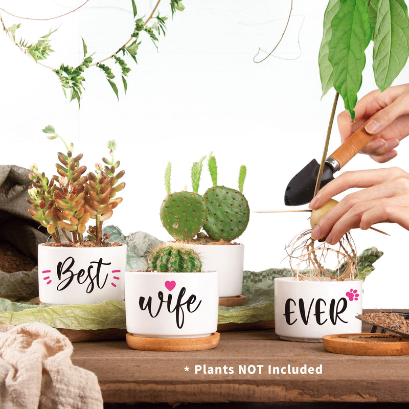 Christmas Birthday Gifts for Wife from Husband, Unique Anniversary Wedding Valentines Day Gifts for Her, Best Wife Ever Succulent Pots for Plants Indoor & Outdoor, Arrive Beautifully Gift Boxed