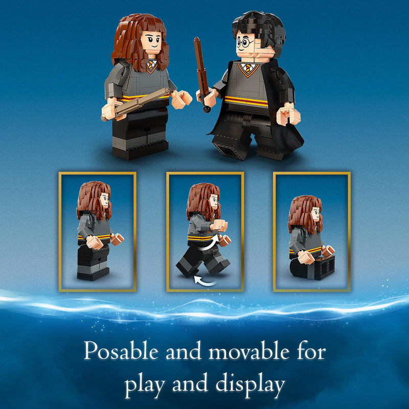 LEGO Harry Potter Harry Potter & Hermione Granger - 76393