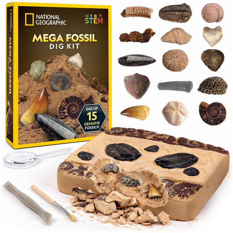 National Geographic Mega Fossil Dig Kit - Excavate 15 Genuine Prehistoric Fossils, Kids Fossil Kit, Educational Toys, Great Science Kit Gift for Girls and Boys (Amazon Exclusive) - Gift Guide