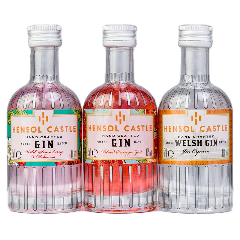 Hensol Castle Distillery Miniature Gin Gift Set | 3 x 5cl Mini Premium Gins, Try our Award Winning Welsh London Dry Gin, Blood Orange Zest Gin and Pink Wild Strawberry & Hibiscus Flavoured Gin Set