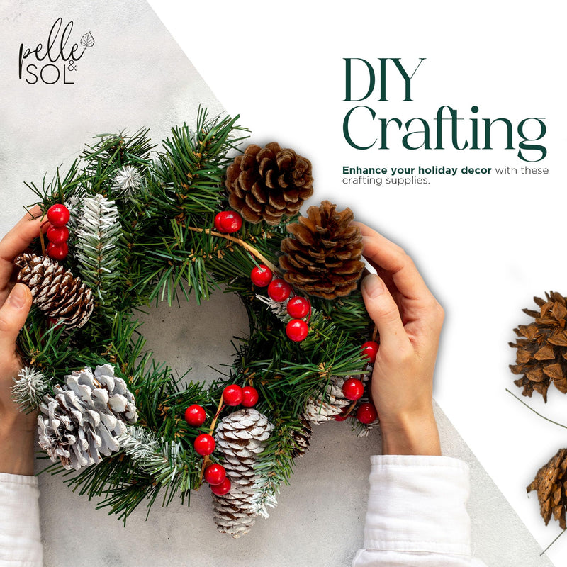 Pelle & Sol 130Pcs Wreath Making Kit | Wreath Making, Realistic Pine Cones & Berry DIY Crafts, Christmas Wreath Decorations, Christmas Wreath Making Supplies, Wreath Making Supplies, Christmas Foliage - Gift Guide