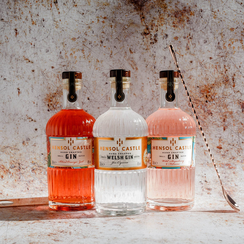 Hensol Castle Distillery Miniature Gin Gift Set | 3 x 5cl Mini Premium Gins, Try our Award Winning Welsh London Dry Gin, Blood Orange Zest Gin and Pink Wild Strawberry & Hibiscus Flavoured Gin Set